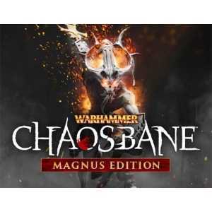 Warhammer Chaosbane Magnus Edition (steam key)